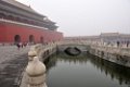 DSC90_29496NW