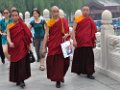 DSC90_29681NW