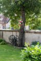 DSC75_19077-15