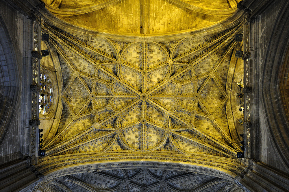 DSC90_04852NW.jpg - Katedrála - Catedral de Santa María de la Sede - úžasná klenba