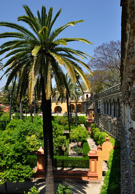 DSC90_04966NW.jpg - Sevilla - zahrady královského paláce Alcázar